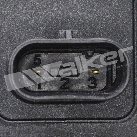 ThunderSpark Ignition Coil P/N:921-2404 Fits: Ford F-150 24-23, Ford Mustang 22-20 - Image 4