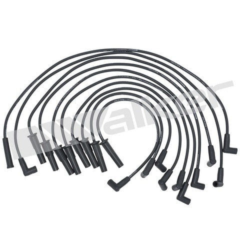 Walker Products Spark Plug Wire Set P/N:924-1413 Fits: Dodge B150, Dodge B1500, Dodge B250, Dodge B2500, Dodge B350, Dodge B3500, Dodge D150, Dodge D250, Dodge D350, Dodge Dakota - Image 1