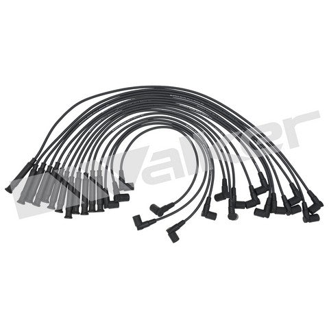 Walker Products Spark Plug Wire Set P/N:924-1485 Fits: BMW 750il 01-88, BMW 850ci 99-93, BMW 850csi 95-94, BMW 850i 92-91 - Image 1