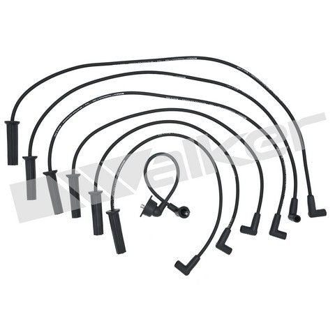 Walker Products Spark Plug Wire Set P/N:924-1803 Fits: Buick Century 05-00, Buick Rendezvous 05-02, Chevrolet Impala 05-00, Chevrolet Lumina 01-00, Chevrolet Malibu 03-00, Chevrolet Monte Carlo 05-00, Chevrolet Venture 05-00, Pontiac Grand Prix 03-00 - Image 1