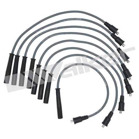 Walker Products Spark Plug Wire Set P/N:924-2084 Fits: Ford F-150 14-10, Ford F-250 Super Duty 15-11, Ford F-350 15-11, Ford F-350 Super Duty 15-11 - Image 1