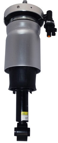Westar Air Suspension Strut P/N:AS-37131 Fits: Ford Expedition 14-07, Lincoln Navigator 14-07 - Image 1