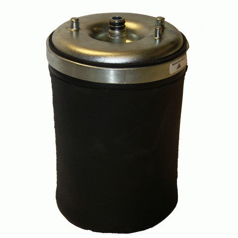 Westar Air Suspension Spring P/N:AS-7013 Fits: BMW 525i 03-01, BMW 528i 00-99, BMW 540i 03-99 - Image 1