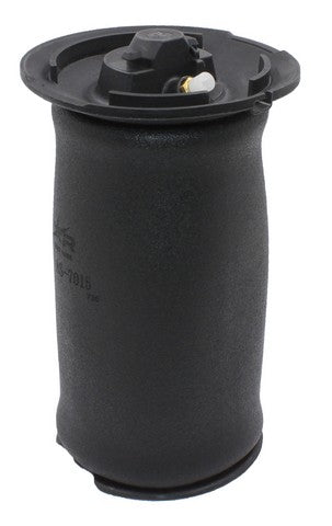 Westar Air Suspension Spring P/N:AS-7015 Fits: BMW 530xi 07-06, BMW 535i 2010, BMW 535i Xdrive 10-09, BMW 535xi 2008 - Image 1