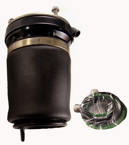 Westar Air Suspension Spring P/N:AS-7028 Fits: BMW X5 06-00 - Image 1