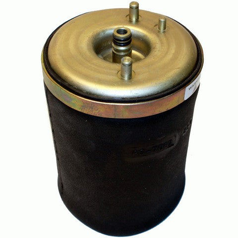 Westar Air Suspension Spring P/N:AS-7067 Fits: BMW X5 06-00 - Image 1