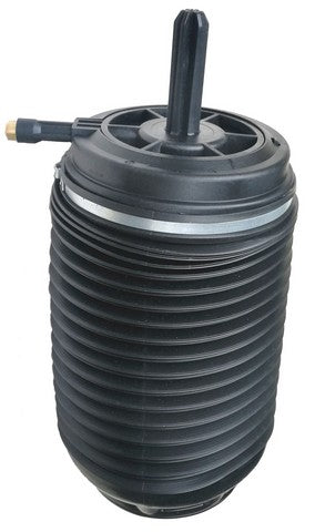 Westar Air Suspension Spring P/N:AS-7081 Fits: Porsche Macan 18-15 - Image 1