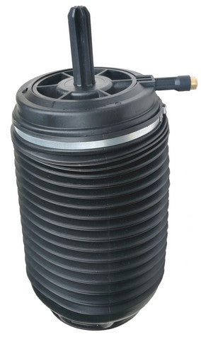 Westar Air Suspension Spring P/N:AS-7082 Fits: Porsche Macan 18-15 - Image 1