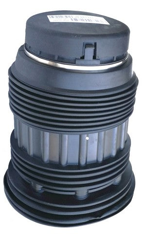 Westar Air Suspension Spring P/N:AS-7083 Fits: Porsche Panamera 16-10 - Image 1