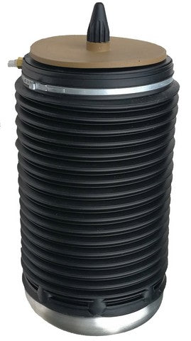 Westar Air Suspension Spring P/N:AS-7084 Fits: Audi A7 Quattro 18-12 - Image 1