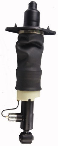 Westar Air Suspension Strut P/N:AS-7323 Fits: Audi Allroad Quattro 05-01 - Image 1