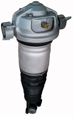 Westar Air Suspension Strut P/N:AS-7356 Fits: Audi Q7 15-07, Porsche Cayenne 06-03, Porsche Cayenne 10-08, Volkswagen Touareg 10-04 - Image 1