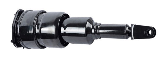 Westar Air Suspension Strut P/N:AS-7376R Fits: Lexus Ls460 17-07 - Image 1