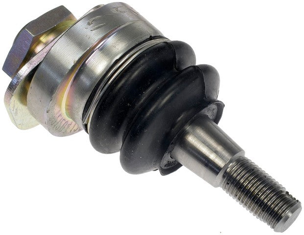 Dorman - OE Solutions Brazo de Control de Avance (Cáster) / Inclinación (Cámber) de Alineación P/N:528-301 Fits: Infiniti G35 07-03, Nissan 350z 09-03 - Image 2