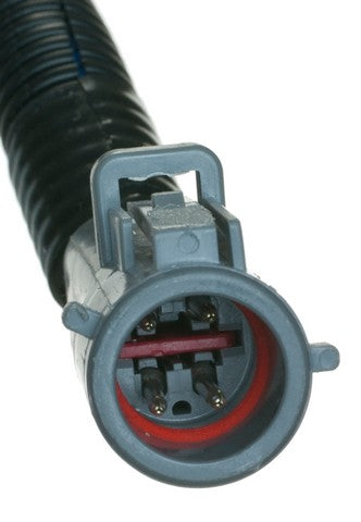 Airtex Fuel Pumps Fuel Pump Module Assembly P/N:E2293M Fits: Ford Ranger 03-01, Mazda B2300 03-01, Mazda B3000 03-01, Mazda B4000 03-01 - Image 3