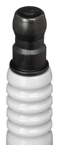 NGK Spark Plug P/N:LKAR8AP7JDS Fits: Alfa Romeo Giulia 23-17, Alfa Romeo Stelvio 20-18 - Image 3