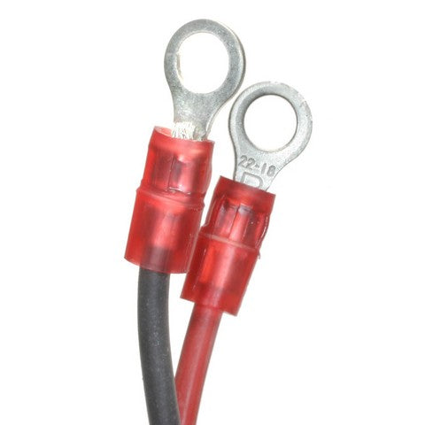 Standard Ignition Ignition Conversion Kit P/N:LX-806 Fits: Austin Marina 1975, Mg Mgb 79-75, Mg Midget 79-75, Triumph Spitfire 79-75, Triumph Tr7 79-75 - Image 2