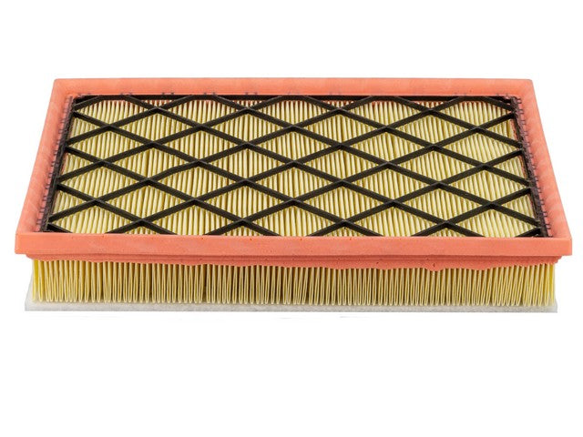 Power Train Engine Air Filter P/N:PA10251 Fits: BMW X5 14-09 - Image 1