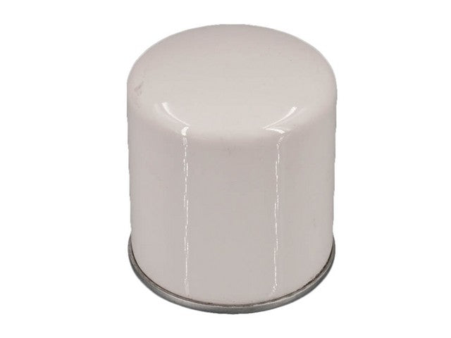 Power Train Fuel Filter P/N:PG6419 Fits: Lincoln Continental 1980, Lincoln Continental 1982, Lincoln Mark Vi 82-80, Lincoln Town Car 82-81 - Image 1