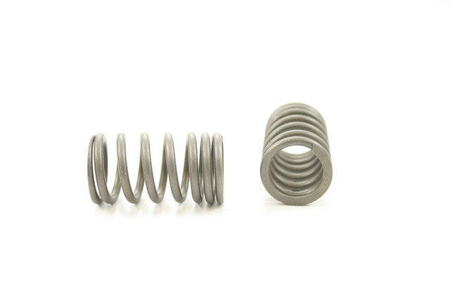 Pioneer Automotive Industries Engine Valve Spring P/N:RV-1131 Fits: Buick Opel, Chevrolet Cavalier, Chevrolet Chevette, Chevrolet Luv, Chevrolet S10, Chevrolet S10 Blazer, GMC S15, GMC S15 Jimmy, Isuzu I-mark, Isuzu Pickup, Pontiac Acadian - Image 1