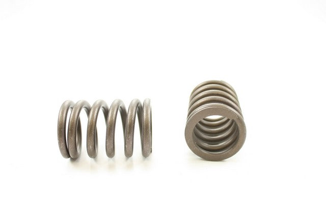 Pioneer Automotive Industries Engine Valve Spring P/N:RV-1250 Fits: Ford Country Squire, Ford Ltd, Ford Ltd Crown Victoria, Ford Mustang, Ford Thunderbird, Lincoln Continental, Lincoln Mark Vi, Lincoln Mark Vii, Lincoln Town Car - Image 1