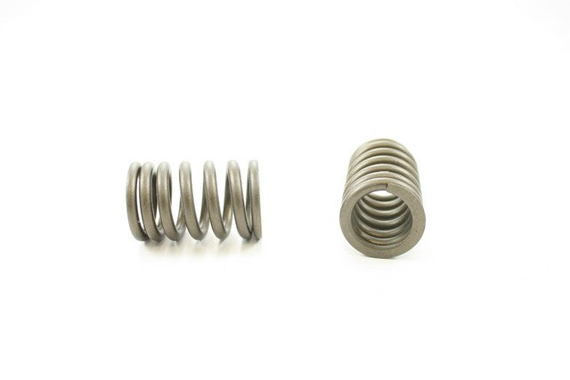 Pioneer Automotive Industries Engine Valve Spring P/N:RV-1316 Fits: Honda Civic 1986 - Image 1