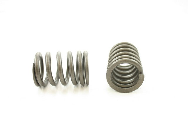 Pioneer Automotive Industries Engine Valve Spring P/N:RV-1360 Fits: Ford Bronco, Ford E-150 Econoline, Ford E-150 Econoline Club Wagon, Ford E-250 Econoline, Ford E-250 Econoline Club Wagon, Ford E-350 Econoline, Ford E-350 Econoline Club Wagon - Image 1