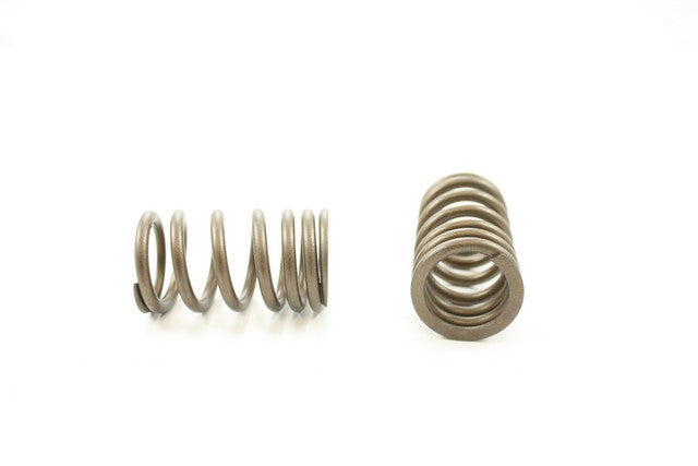 Pioneer Automotive Industries Engine Valve Spring P/N:RV-1365 Fits: Honda Civic 85-84 - Image 1