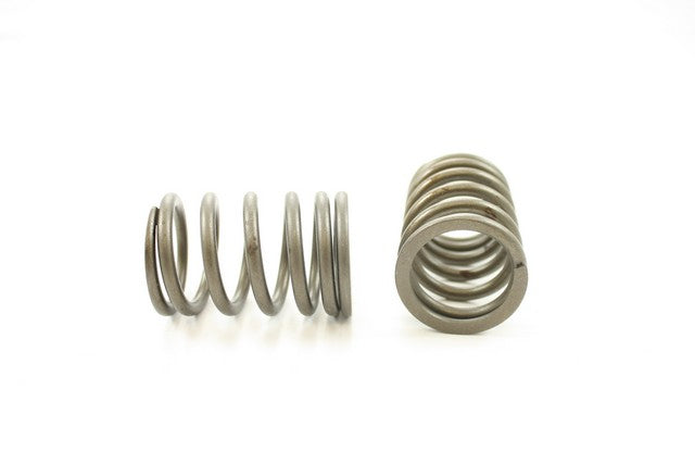 Pioneer Automotive Industries Engine Valve Spring P/N:RV-1404 Fits: Nissan 200sx 88-84, Nissan Multi 88-86, Nissan Stanza 89-86 - Image 1