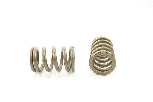 Pioneer Automotive Industries Engine Valve Spring P/N:RV-1407 Fits: Toyota Starlet 84-83 - Image 1