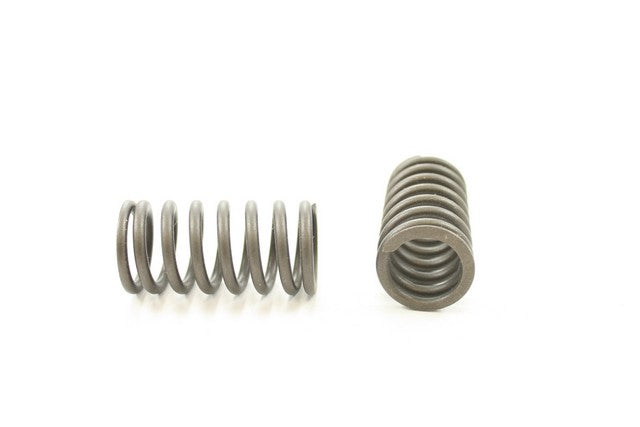Pioneer Automotive Industries Engine Valve Spring P/N:RV-1408 Fits: Toyota Camry 91-89, Toyota Celica 91-89, Toyota Mr2 1991, Toyota Rav4 00-96 - Image 1