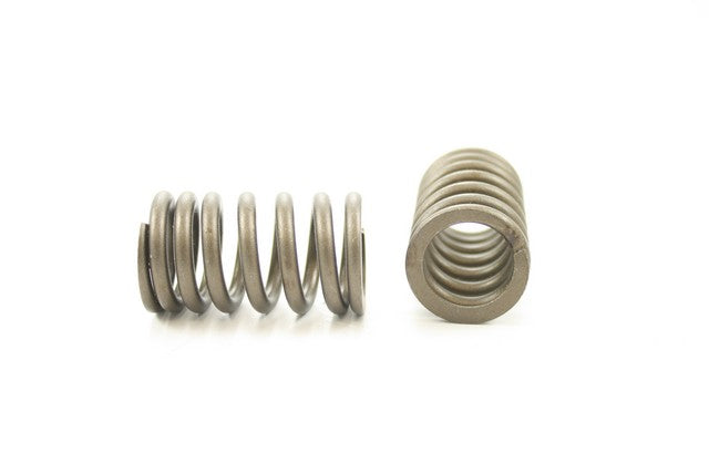Pioneer Automotive Industries Engine Valve Spring P/N:RV-1430 Fits: Mazda Miata 97-95, Mazda Protege 98-95 - Image 1