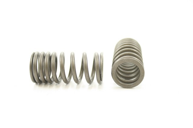 Pioneer Automotive Industries Engine Valve Spring P/N:RV-1453 Fits: Honda Accord 93-91 - Image 1