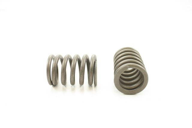 Pioneer Automotive Industries Engine Valve Spring P/N:RV-1503 Fits: Ford Escort 87-84, Ford Tempo 86-84, Mercury Lynx 87-84, Mercury Topaz 86-84 - Image 1