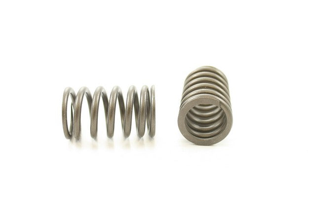 Pioneer Automotive Industries Engine Valve Spring P/N:RV-1541 Fits: Toyota Camry 91-89, Toyota Celica 93-89, Toyota Mr2 95-91 - Image 1