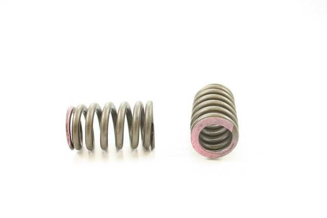 Pioneer Automotive Industries Engine Valve Spring P/N:RV-2221 Fits: Chrysler Concorde 97-93, Chrysler Intrepid 97-93, Chrysler Lhs 97-94, Chrysler New Yorker 96-94, Dodge Intrepid 97-93, Plymouth Prowler 1997 - Image 1