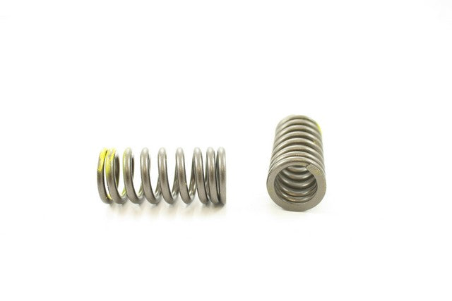 Pioneer Automotive Industries Engine Valve Spring P/N:RV-2404 Fits: Honda Odyssey 01-99 - Image 1