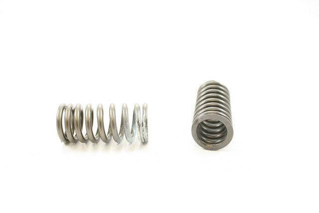 Pioneer Automotive Industries Engine Valve Spring P/N:RV-2406 Fits: Honda Accord 02-98 - Image 1