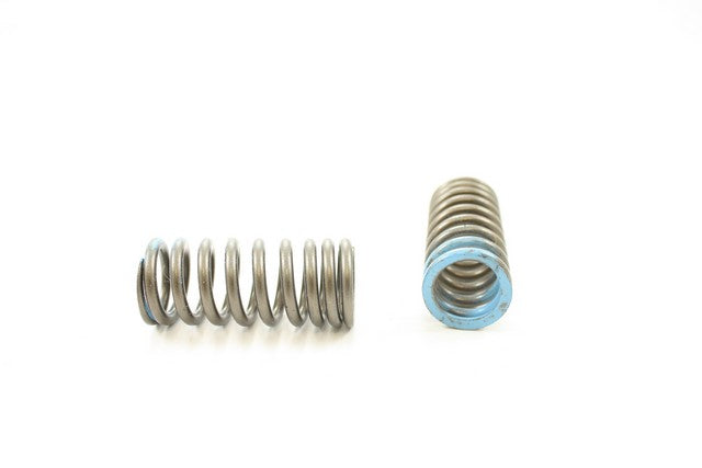 Pioneer Automotive Industries Engine Valve Spring P/N:RV-2408 Fits: Honda Accord 02-98 - Image 1