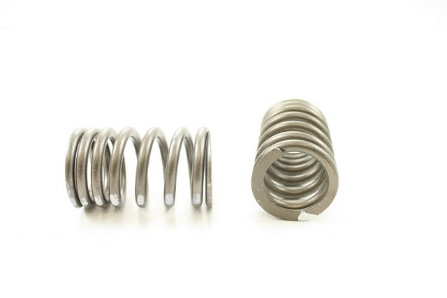 Pioneer Automotive Industries Engine Valve Spring P/N:RV-696 Fits: Chevrolet C10 Panel, Chevrolet C10 Pickup, Chevrolet C20 Pickup, Chevrolet C30 Panel, Chevrolet C30 Pickup, Chevrolet K10 Pickup, Chevrolet K20 Pickup, Chevrolet P10 Series - Image 1
