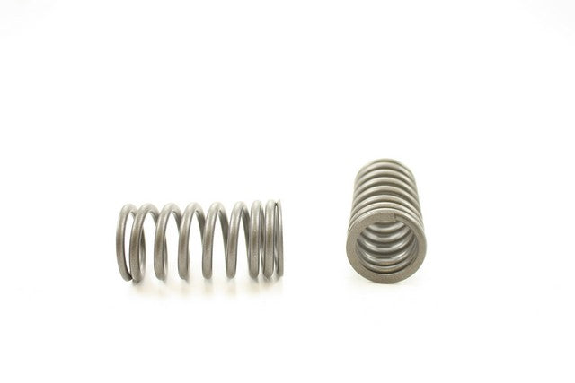 Pioneer Automotive Industries Engine Valve Spring P/N:RV-922 Fits: Pontiac Bonneville, Pontiac Catalina, Pontiac Executive, Pontiac Firebird, Pontiac Grand Am, Pontiac Grand Lemans, Pontiac Grand Prix, Pontiac Grand Safari, Pontiac Grandville - Image 1