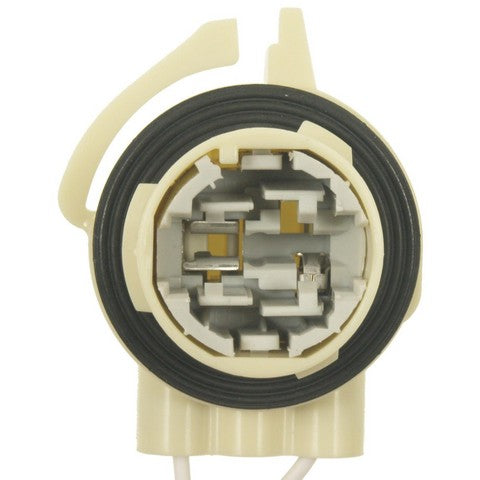 Standard Ignition Back Up Light Socket,Cornering Light Socket,Tail Light Socket P/N:S-1721 Fits: Buick Rainier, Chevrolet Ssr, Chevrolet Trailblazer, Chevrolet Trailblazer Ext, GMC Envoy, GMC Envoy Xl, GMC Envoy Xuv, Oldsmobile Bravada, Pontiac Grand Prix - Image 2