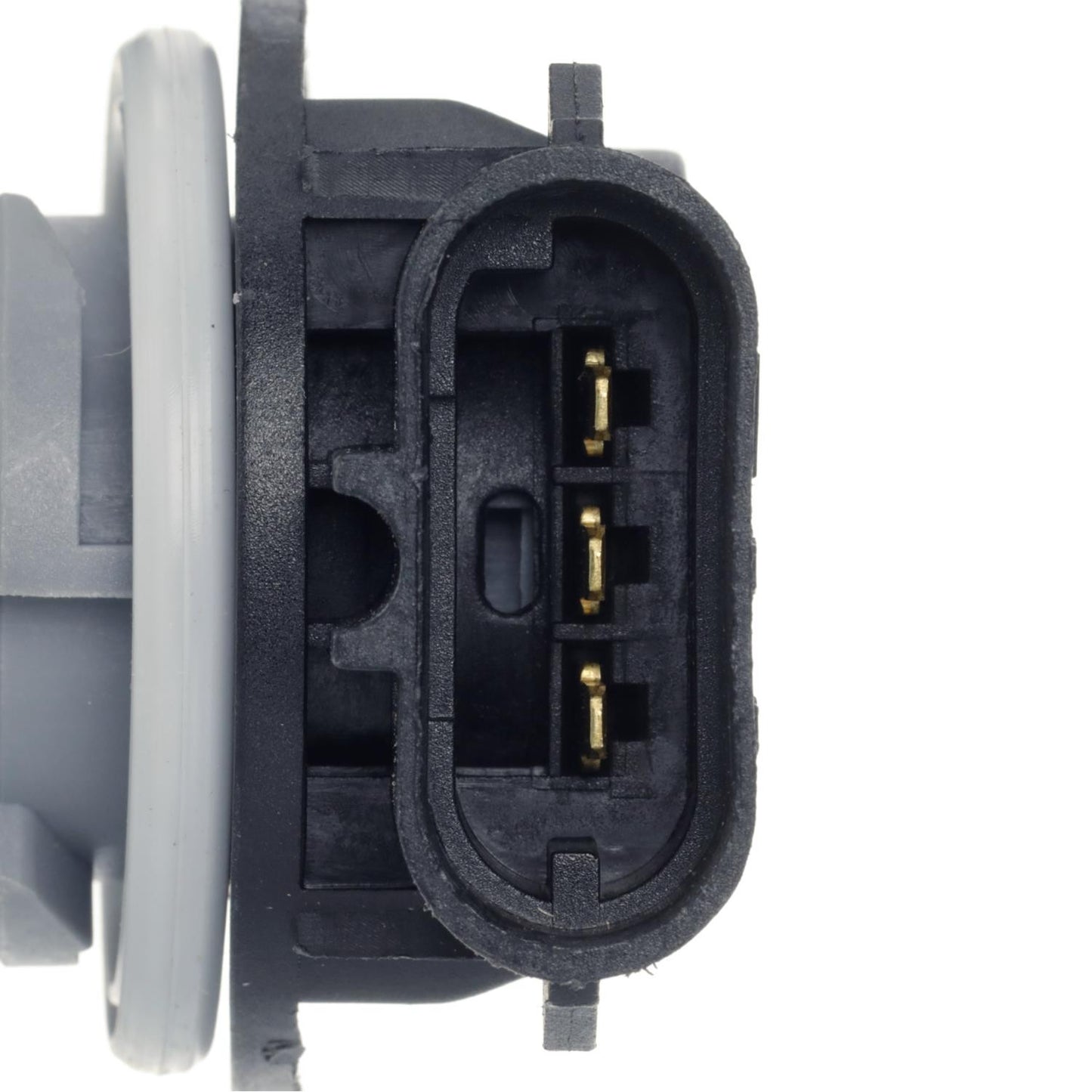 Standard Ignition Brake Light Socket,Tail Light Socket,Turn Signal Light Socket P/N:S-891 Fits: Ford Excursion 05-00, Ford Expedition 00-97, Ford Explorer 2000, Ford Explorer Sport 03-01, Ford F-150 03-02 - Image 4
