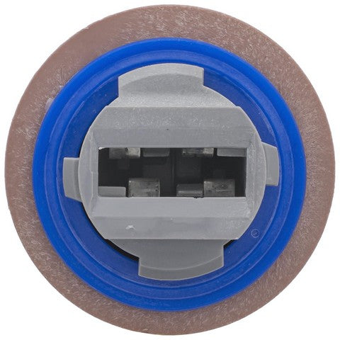 Standard Ignition Parking Light Bulb Socket,Turn Signal Light Socket P/N:S2390 Fits: Ford Expedition 17-15, Ford F-150 18-15, Ford Fusion 12-10, Lincoln Mkc 19-15, Lincoln Mkx 18-16, Lincoln Nautilus 23-19 - Image 2