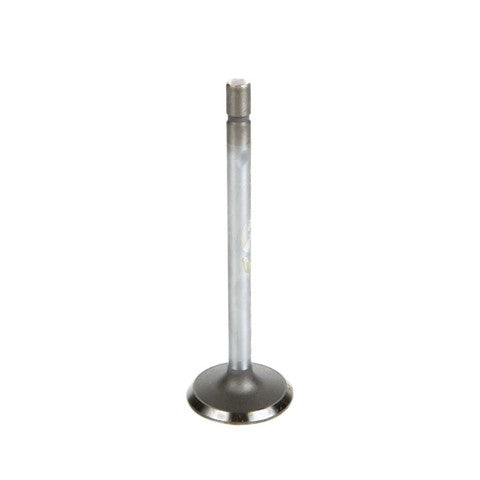 Melling Engine Intake Valve P/N:V1182 Fits: Chevrolet Monza 1975, Chevrolet Vega 75-71, Pontiac Astre 1975 - Image 1