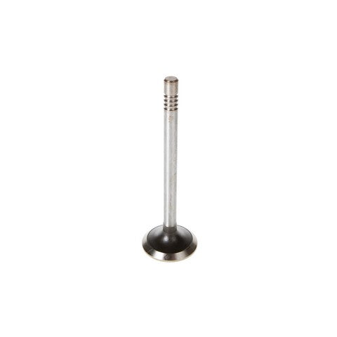 Melling Engine Exhaust Valve P/N:V1397 Fits: Ford Mustang 80-79, Ford Mustang 86-83, Ford Thunderbird 88-83, Mercury Capri 81-79, Mercury Capri 84-83, Mercury Cougar 86-84 - Image 1