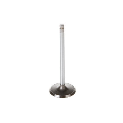 Melling Engine Intake Valve P/N:V1934 Fits: Buick Rainier, Cadillac Escalade, Chevrolet Avalanche 1500, Chevrolet Express 1500, Chevrolet Express 2500, Chevrolet Express 3500, Chevrolet Silverado 1500, Chevrolet Silverado 1500 Classic - Image 1