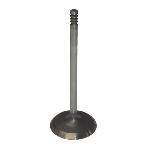 Melling Engine Intake Valve P/N:V1993 Fits: Chrysler Grand Voyager 02-00, Chrysler Pacifica 08-07, Chrysler Pacifica 2005, Chrysler TOWN &amp; COUNTRY 10-00, Chrysler Voyager 08-00, Dodge Caravan 07-00, Dodge Grand Caravan 10-00, Jeep Wrangler 11-07 - Image 1