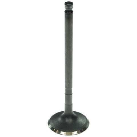 Melling Engine Intake Valve P/N:V5563 Fits: Hyundai Santa Fe 06-03, Hyundai Xg350 05-02, Kia Amanti 06-04, Kia Sedona 05-02, Kia Sorento 06-03 - Image 1