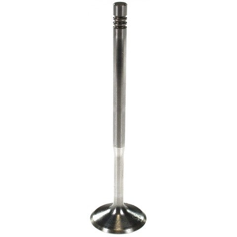 Melling Engine Intake Valve P/N:V5804S Fits: Audi A4, Audi A4 Quattro, Audi A6, Audi A6 Quattro, Audi Allroad Quattro, Audi S4, Audi Tt, Audi Tt Quattro, Volkswagen Beetle, Volkswagen Golf, Volkswagen Jetta, Volkswagen Passat - Image 1